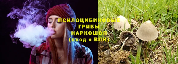 хмурый Зерноград