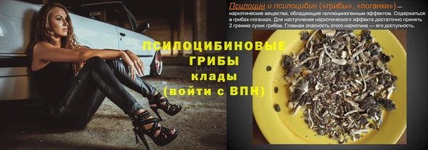 герыч Зеленокумск