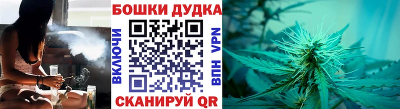 Купить закладки  Коряжма  Марихуана семена 